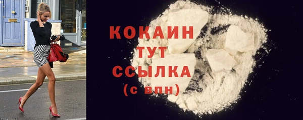 сатива Инсар