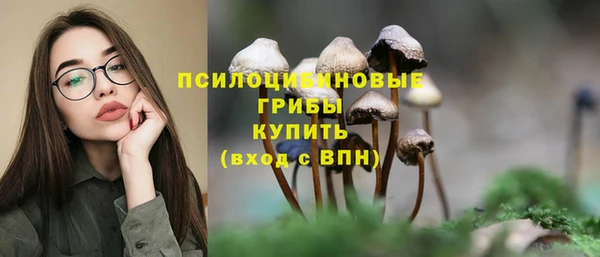 соль ск Иннополис