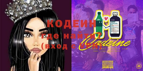 сатива Инсар
