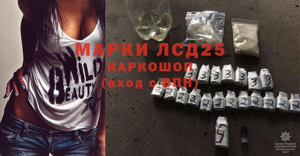 сатива Инсар