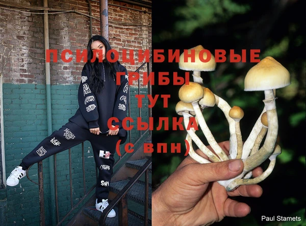 герыч Инта