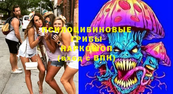 сатива Инсар