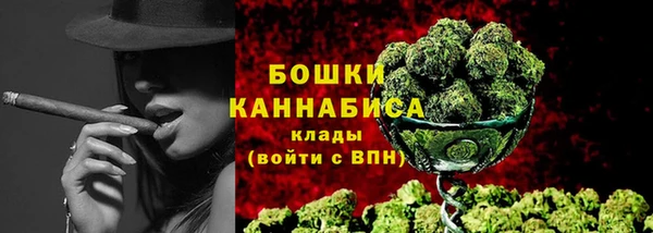 сатива Инсар